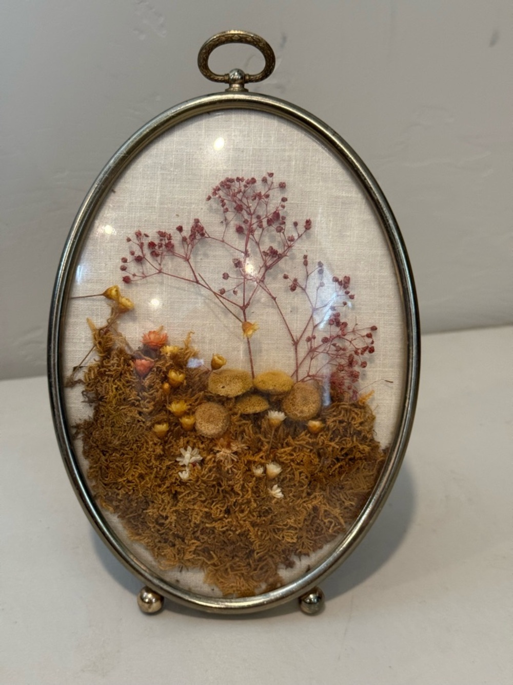 Vintage Herbarium Dried Flowers & Mushrooms Gilded Glass Frame Wallmount Stand